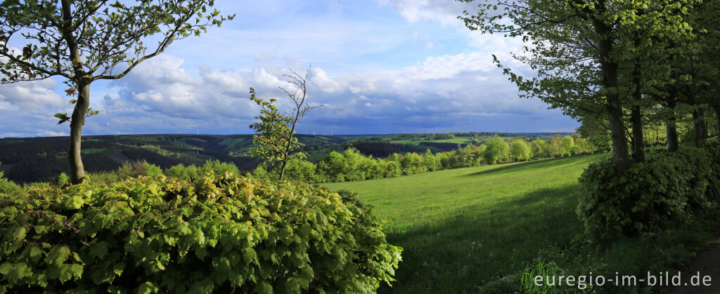 Auf dem Flurheckenweg von Eicherscheid