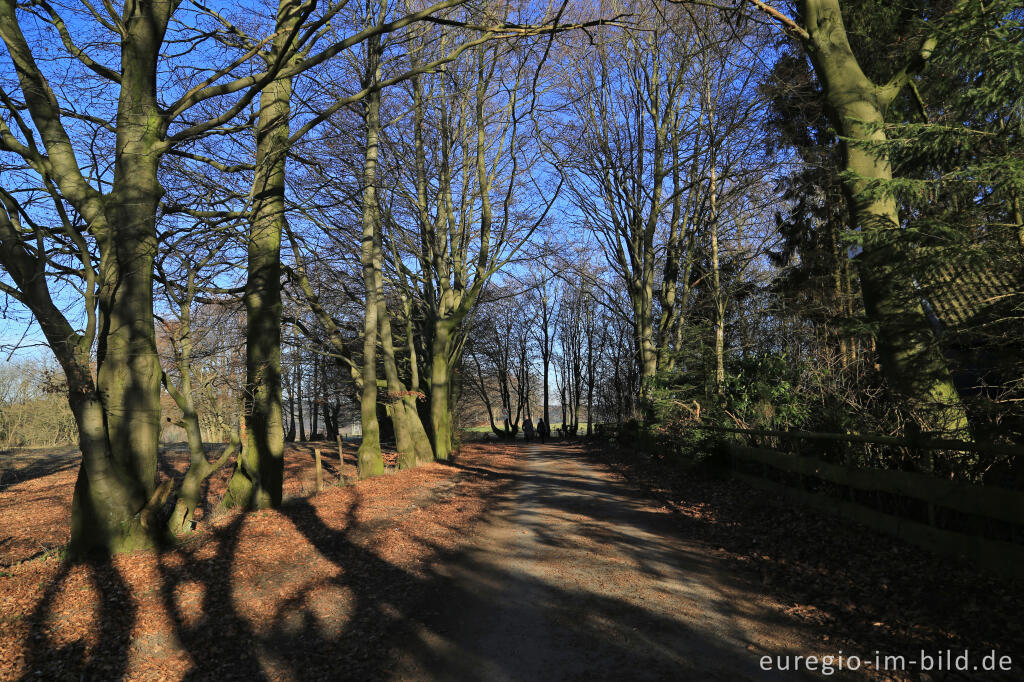 Detailansicht von Auf dem  Häckeltches Weg, "Dorfrundgang Lammersdorf"