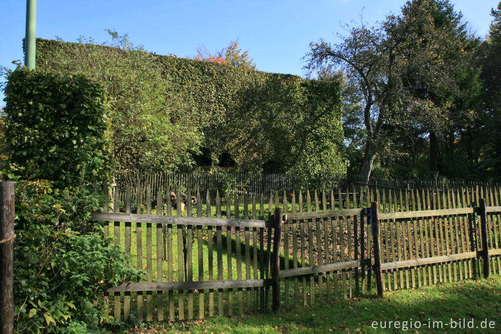 Detailansicht von Auf dem Heckenweg in Höfen 