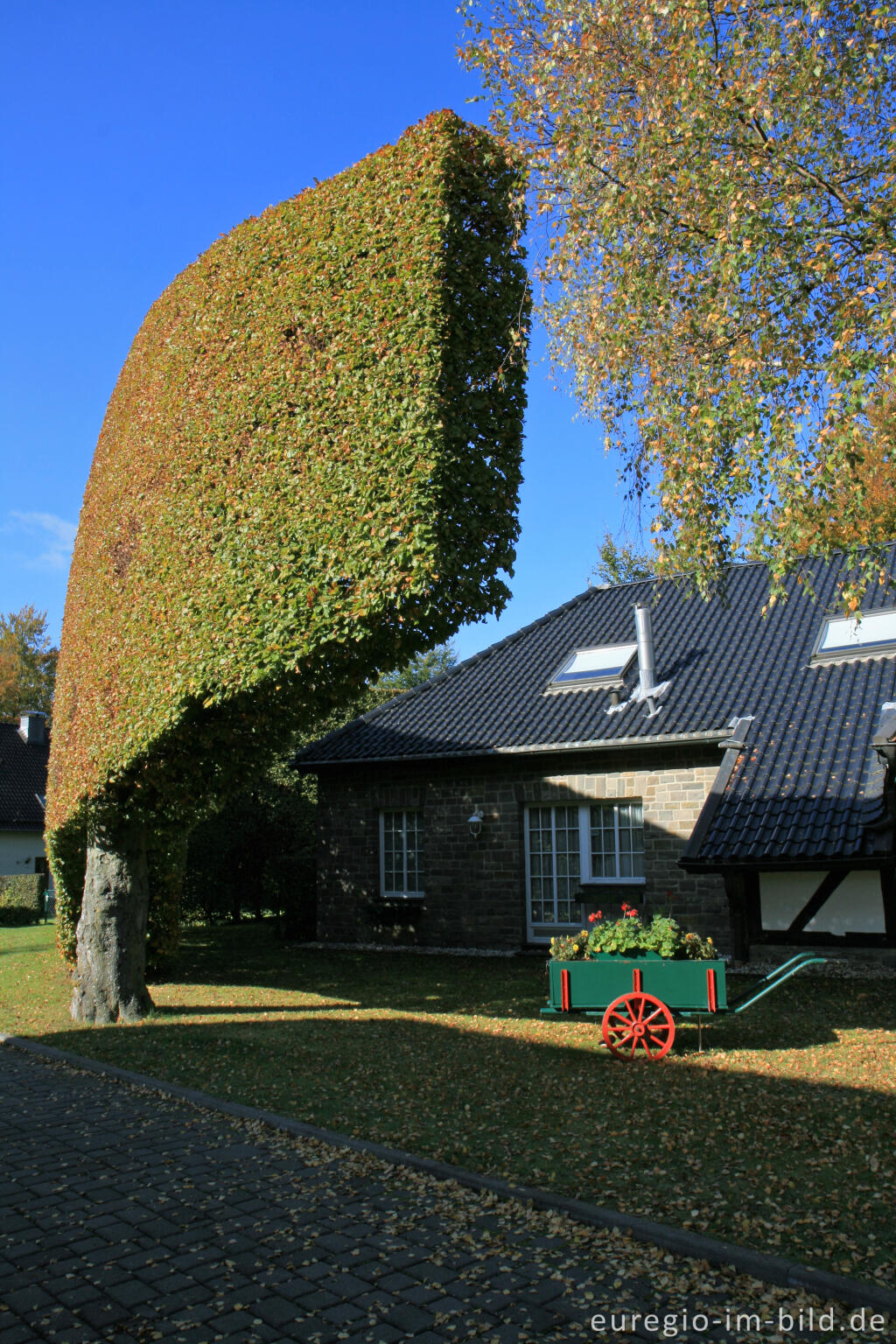 Detailansicht von Auf dem Heckenweg in Höfen