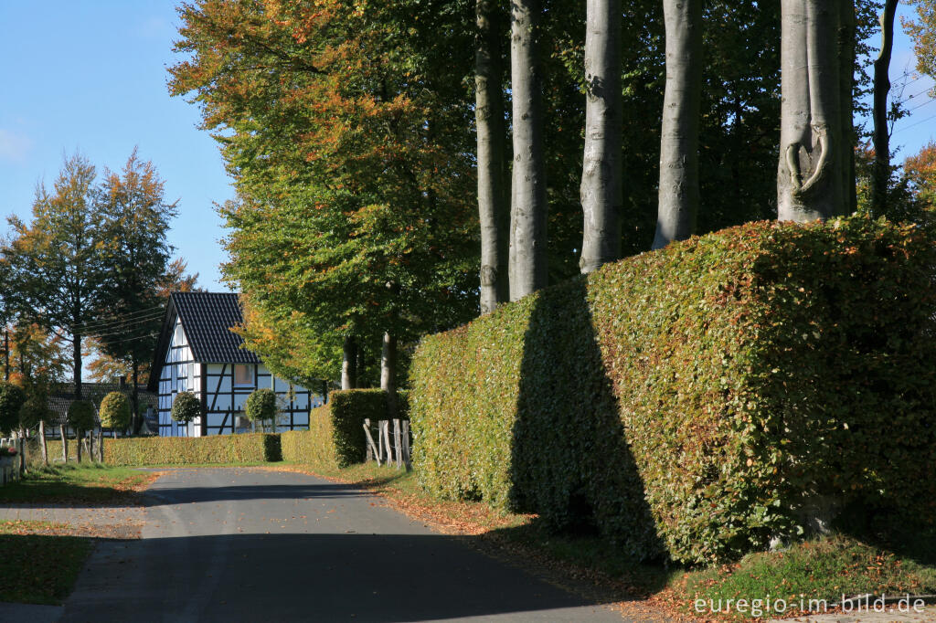 Detailansicht von Auf dem Heckenweg in Höfen