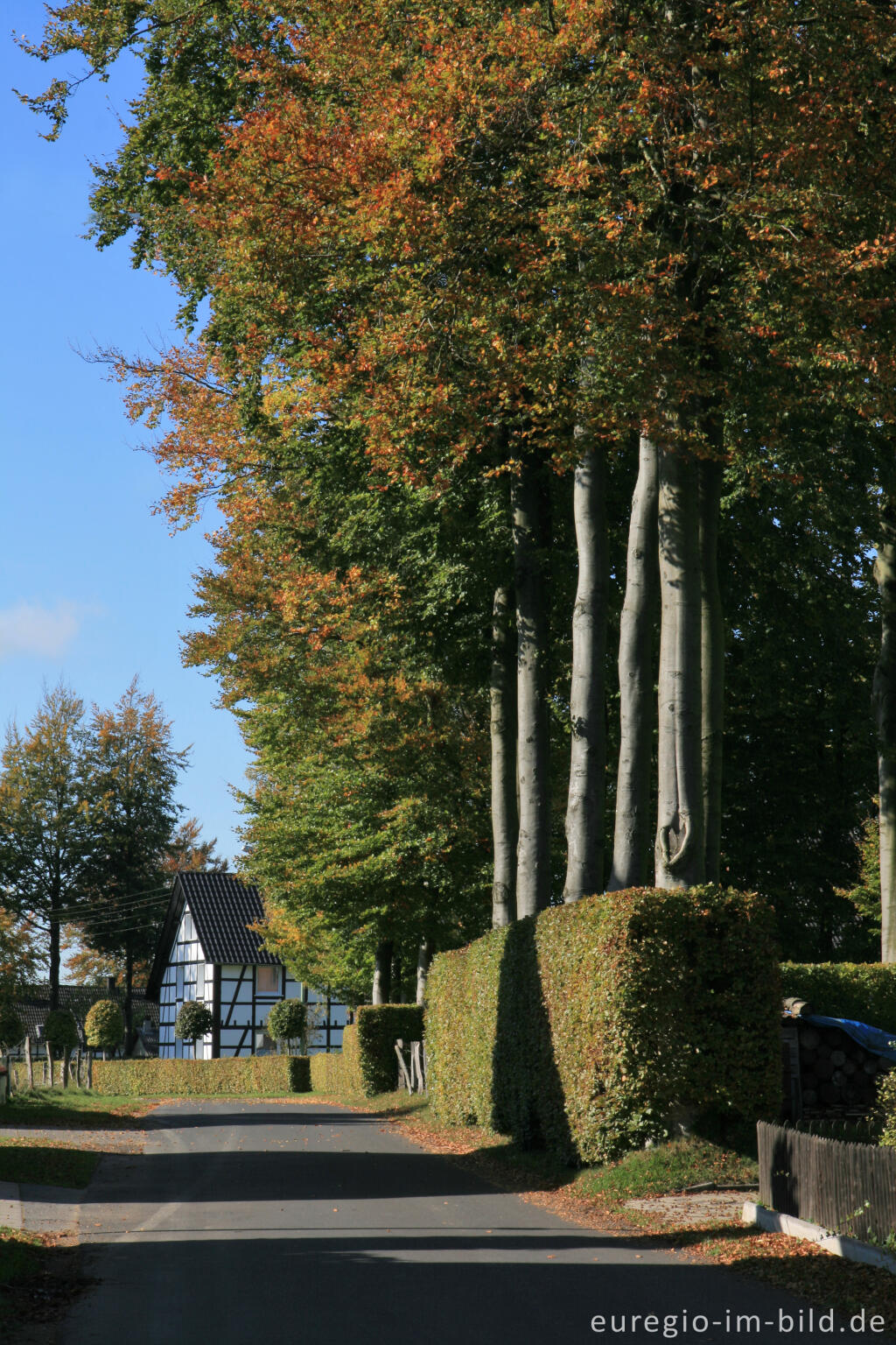 Detailansicht von Auf dem Heckenweg in Höfen