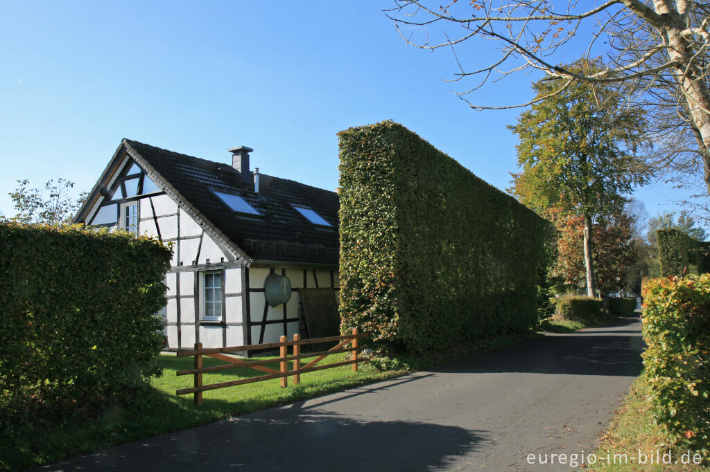 Detailansicht von Auf dem Heckenweg in Höfen