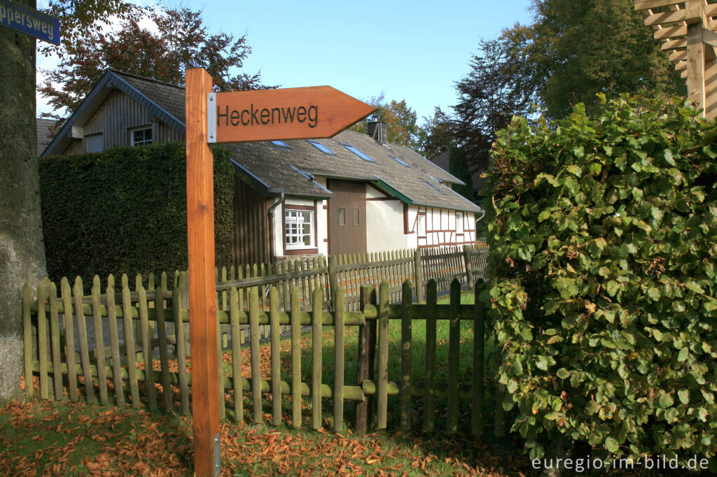 Auf dem Heckenweg in Höfen 