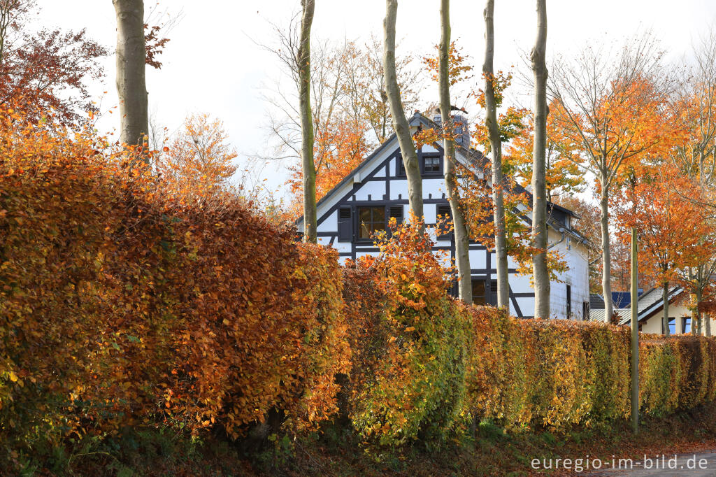 Detailansicht von Auf dem Höfener Heckenweg