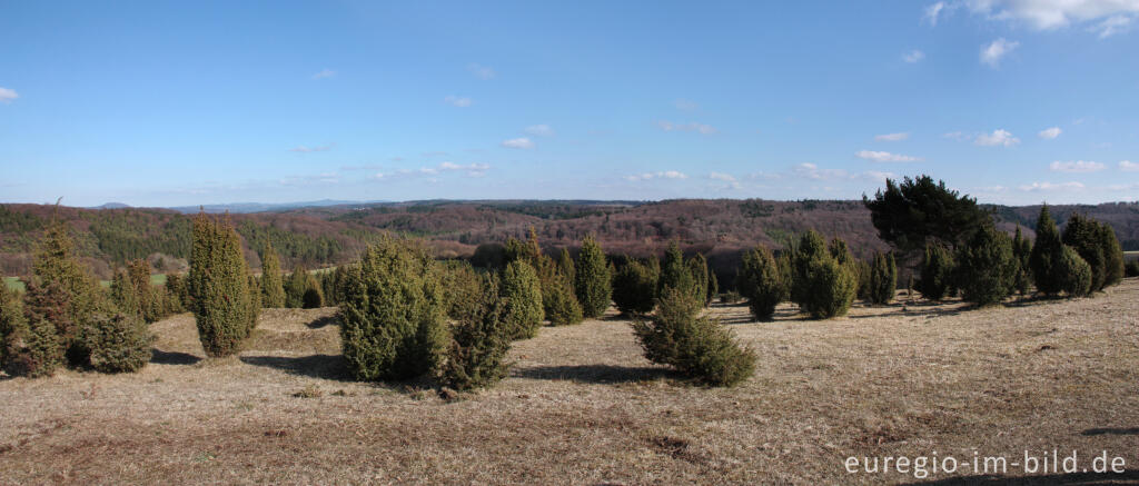 Detailansicht von Auf dem Kalvarienberg von Alendorf, Gemeinde Blankenheim