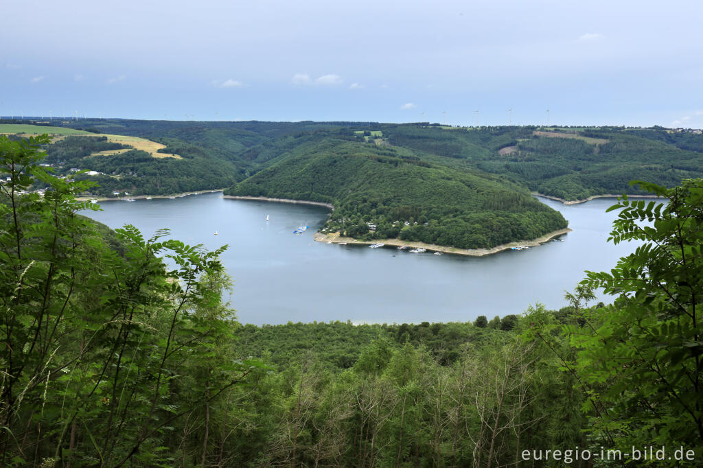 Detailansicht von Auf dem Kermeter im Nationalpark Eifel