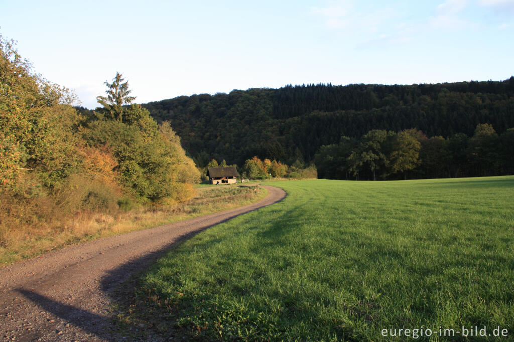 Detailansicht von Auf dem Lieserpfad / Eifelsteig nördlich von Manderscheid