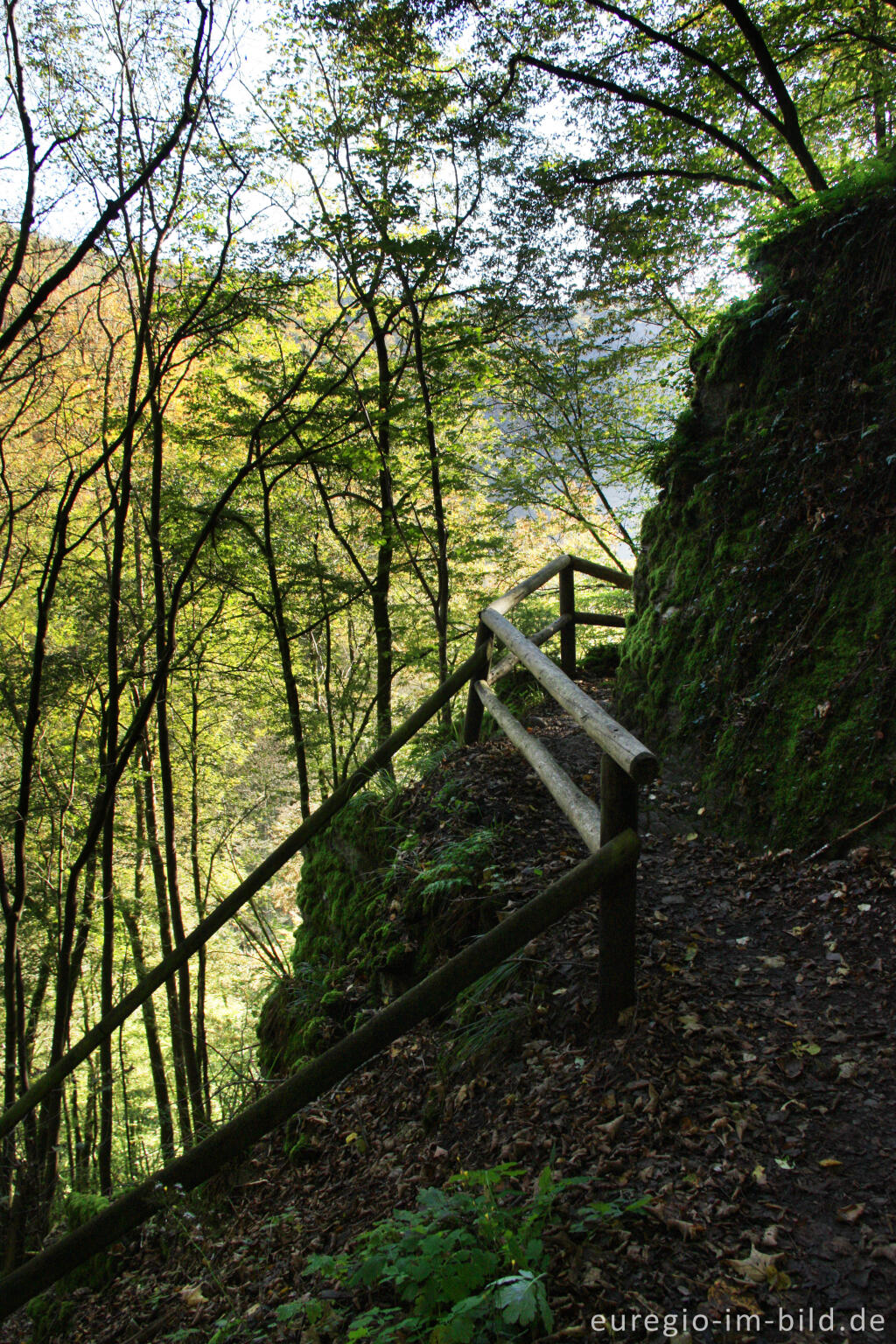 Detailansicht von Auf dem Lieserpfad / Eifelsteig, südlich von Manderscheid