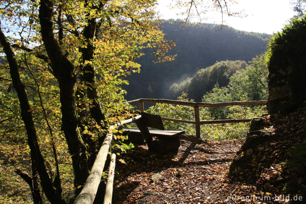 Detailansicht von Auf dem Lieserpfad / Eifelsteig, südlich von Manderscheid