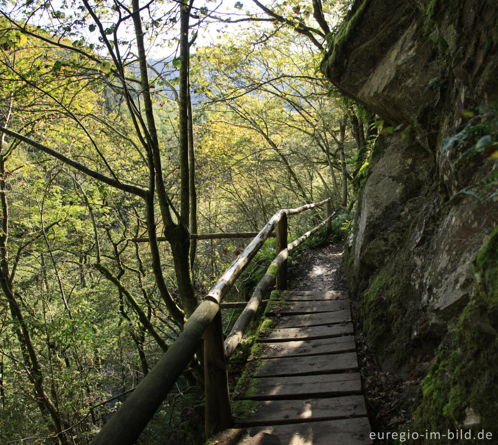 Detailansicht von Auf dem Lieserpfad / Eifelsteig, südlich von Manderscheid