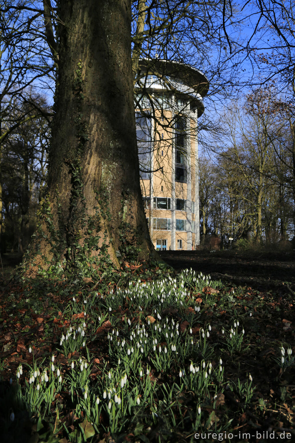 Detailansicht von Auf dem Lousberg