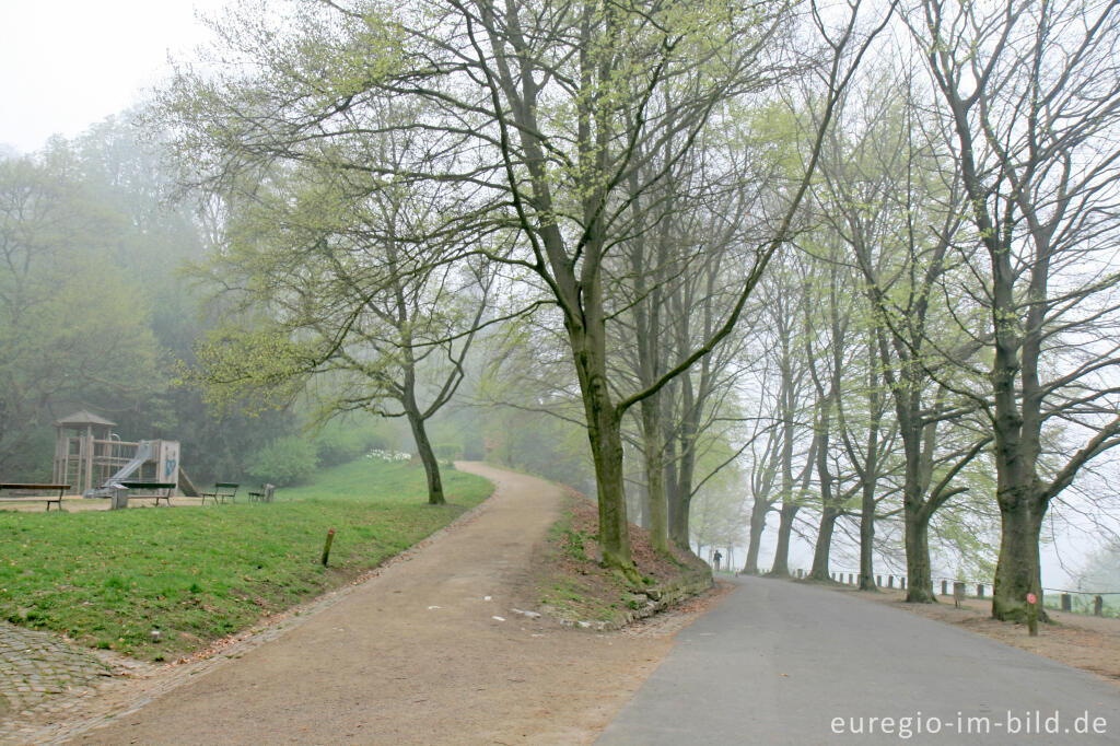 Detailansicht von Auf dem Lousberg