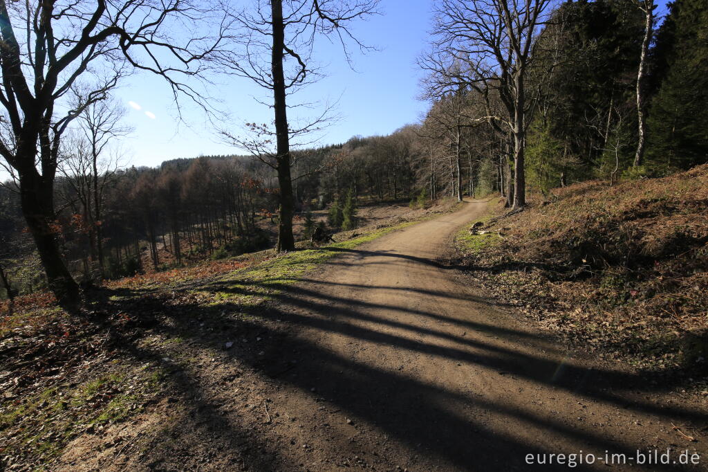 Detailansicht von Auf dem Moresneter Pilgerweg (Moresneter Bittweg)