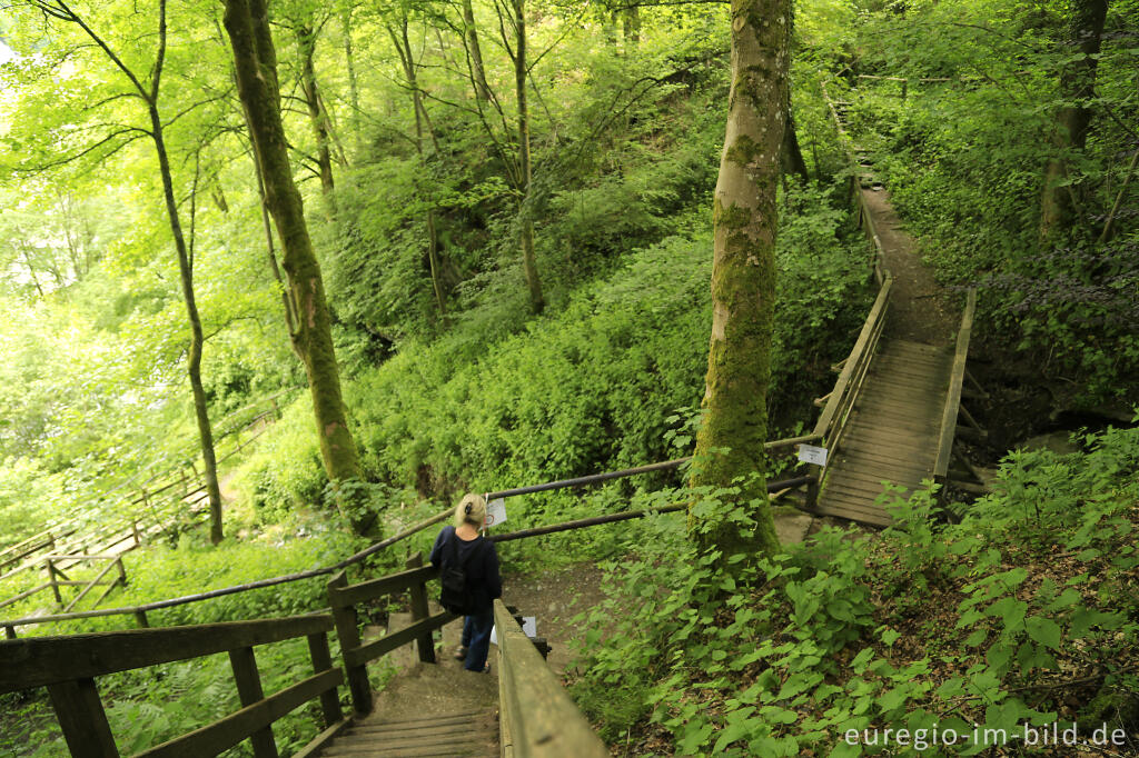 Detailansicht von Auf dem Panoramaweg von Monschau