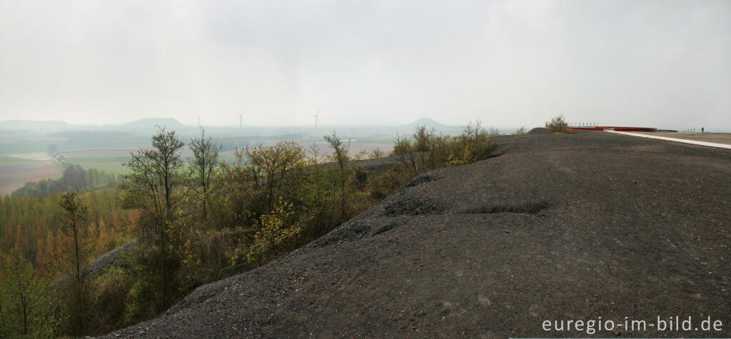 Detailansicht von Auf dem Plateau der Halde des Carl-Alexander-Parks, Baesweiler