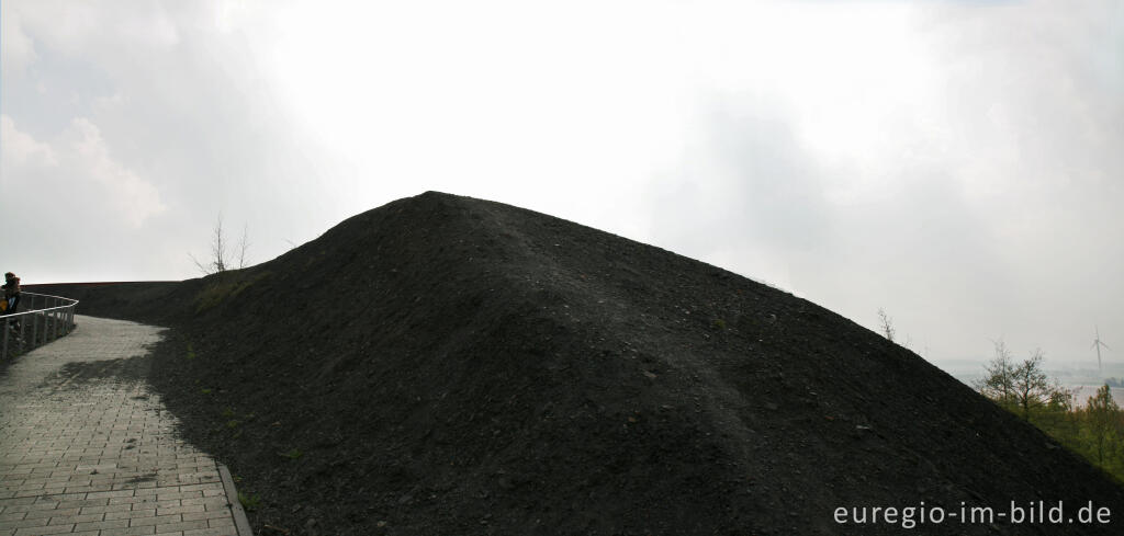 Detailansicht von Auf dem Plateau der Halde des Carl-Alexander-Parks, Baesweiler