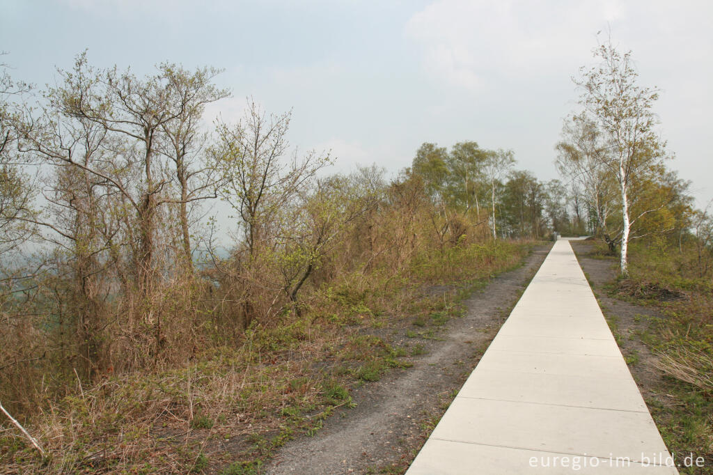 Detailansicht von Auf dem Plateau der Halde des Carl-Alexander-Parks, Baesweiler