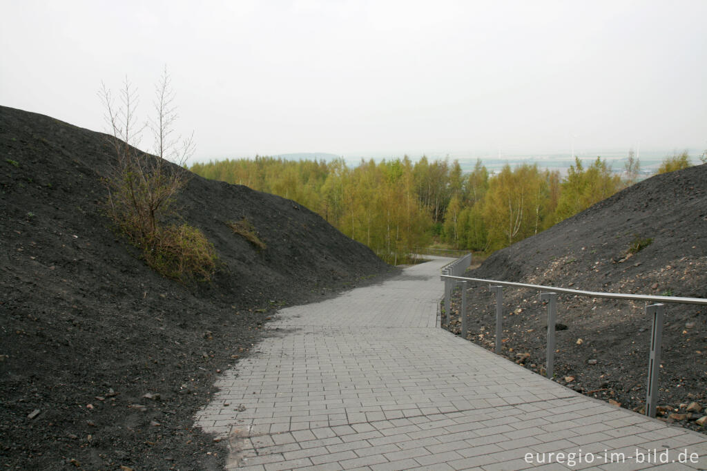 Detailansicht von Auf dem Plateau der Halde des Carl-Alexander-Parks, Baesweiler