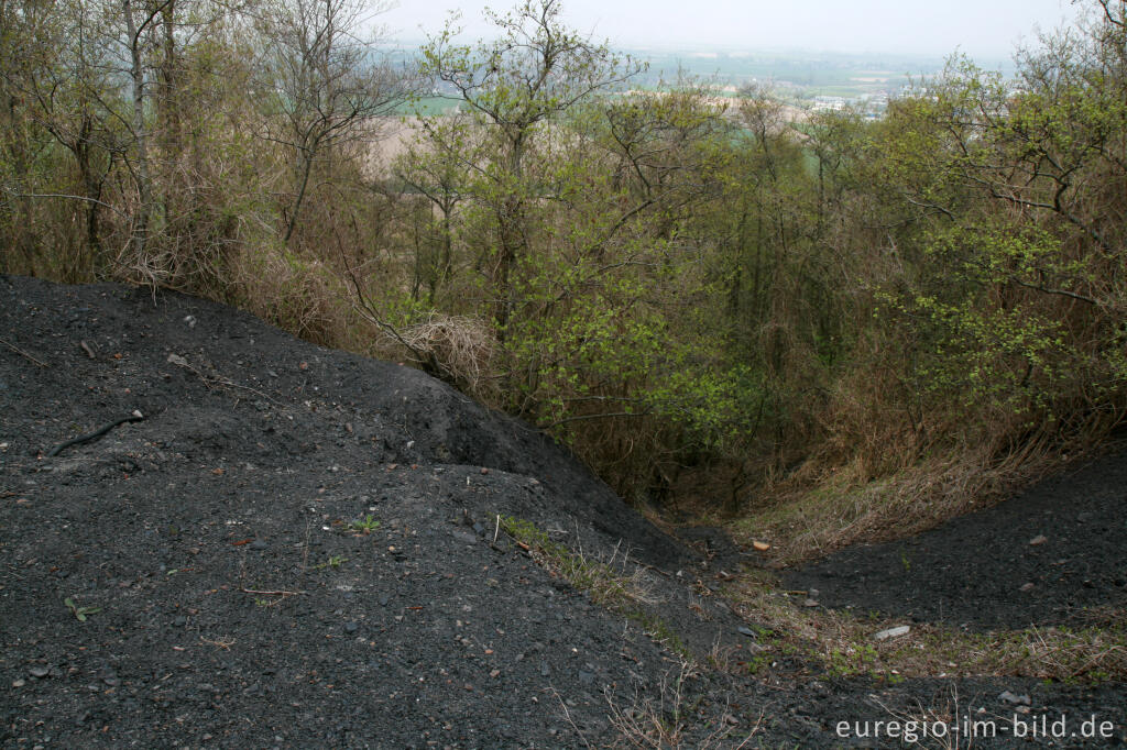 Detailansicht von Auf dem Plateau der Halde des Carl-Alexander-Parks, Baesweiler