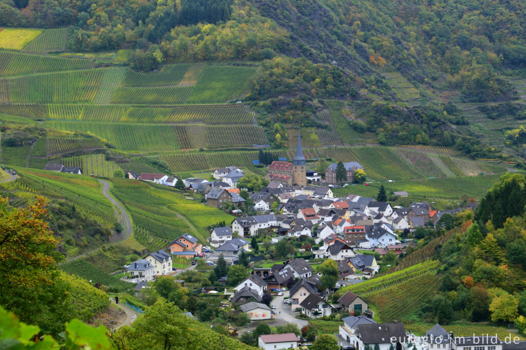 Detailansicht von Auf dem Rotweinwanderweg bei Mayschoß im Ahrtal