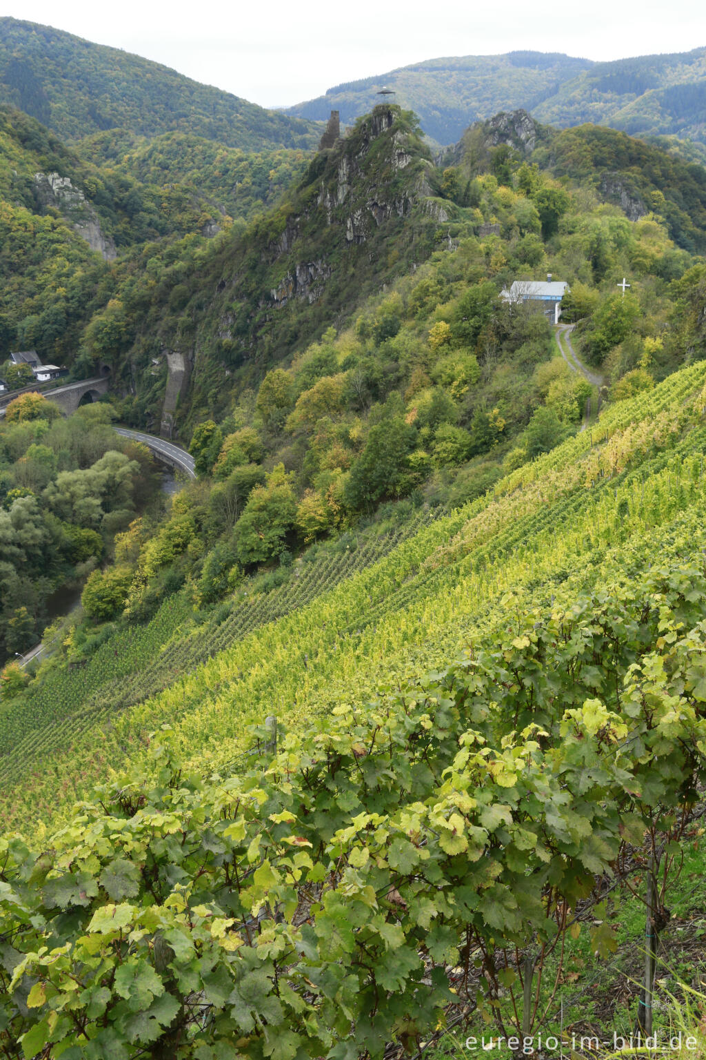 Detailansicht von Auf dem Rotweinwanderweg im Ahrtal zwischen Mayschß und Altenahr