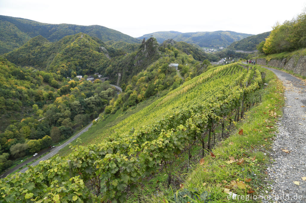 Detailansicht von Auf dem Rotweinwanderweg im Ahrtal zwischen Mayschß und Altenahr