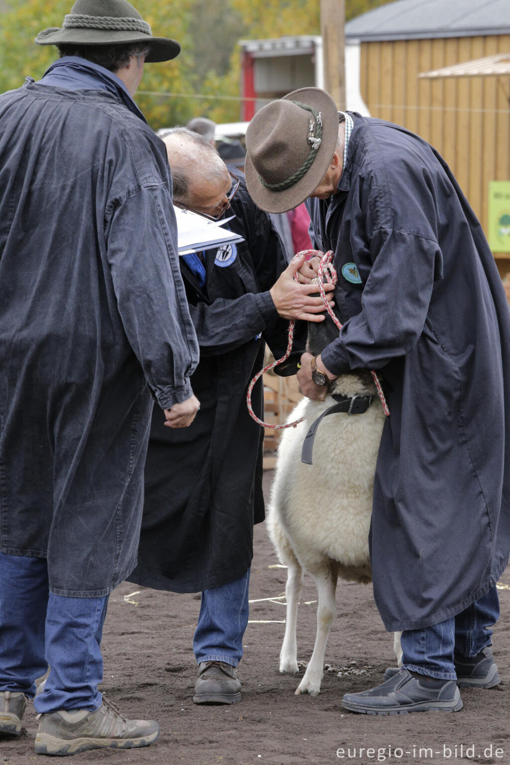 Detailansicht von Auf dem Schafmarkt in Mayen