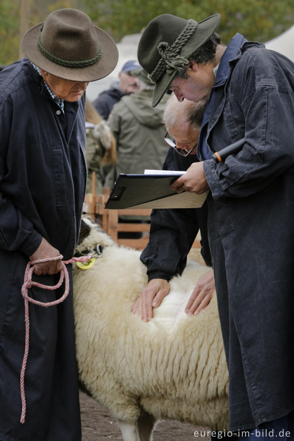 Detailansicht von Auf dem Schafmarkt in Mayen