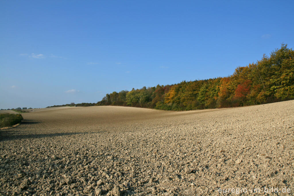 Detailansicht von Auf dem Schneeberg