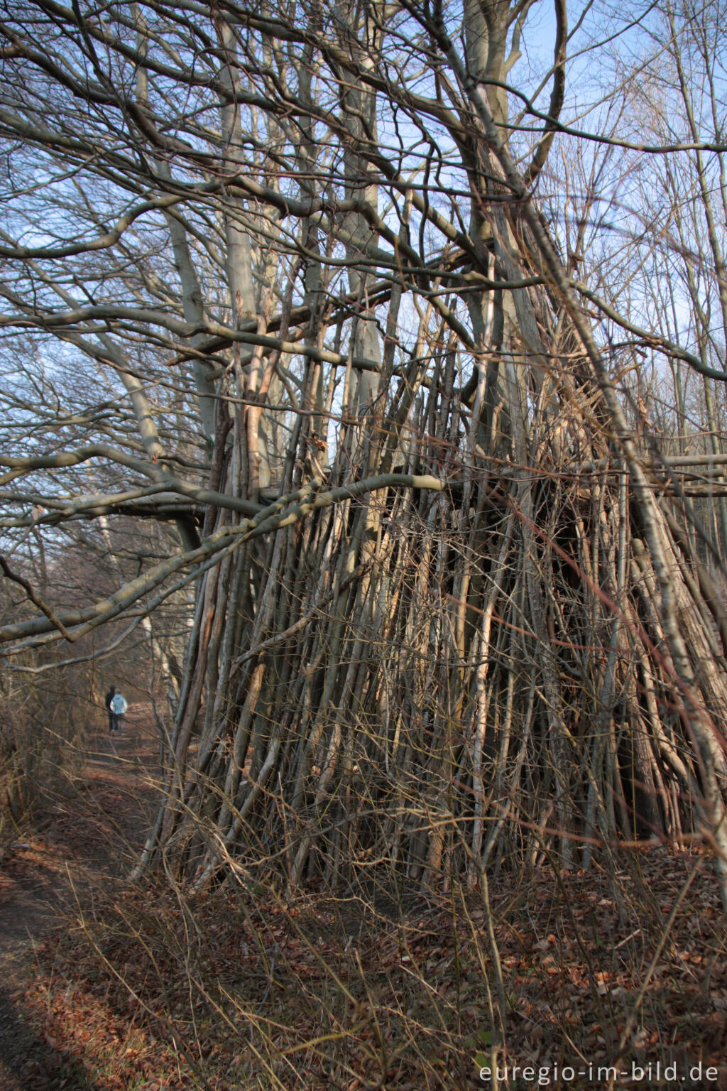 Detailansicht von Auf dem Schneeberg