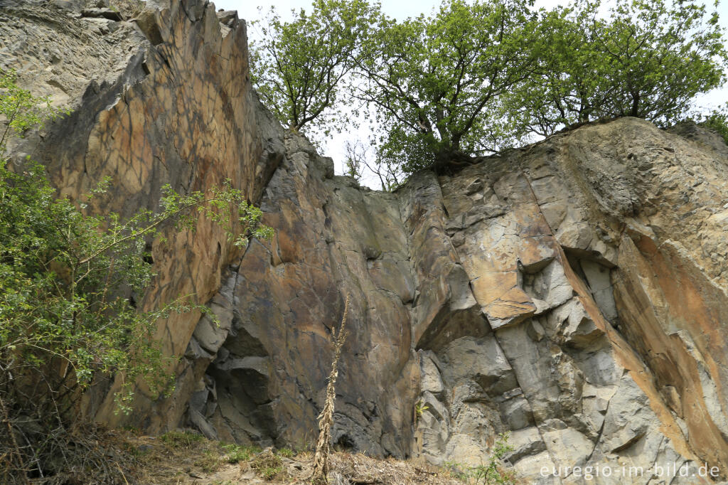 Detailansicht von Auf dem Stenzelberg im Siebengebirge