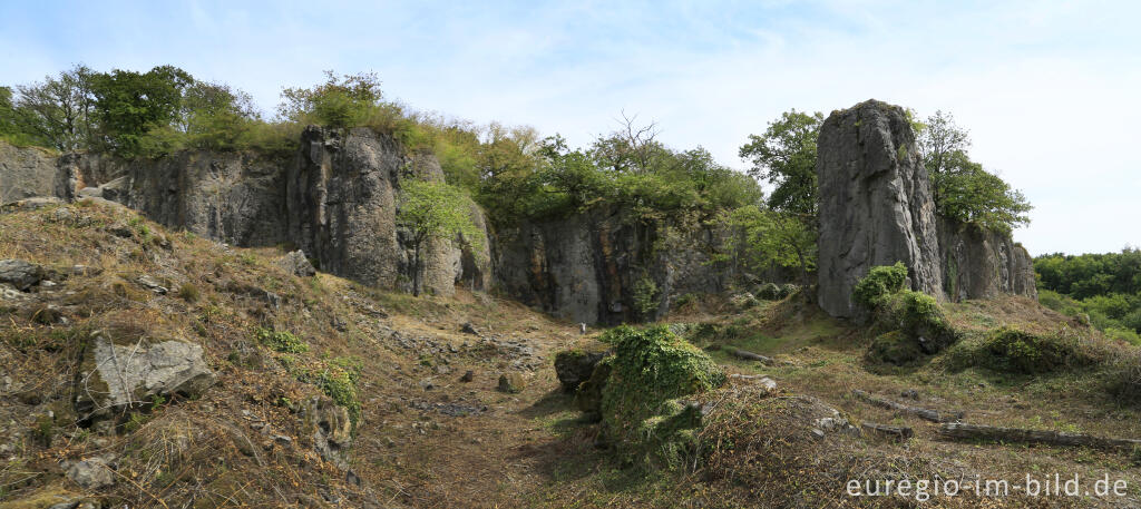 Detailansicht von Auf dem Stenzelberg im Siebengebirge