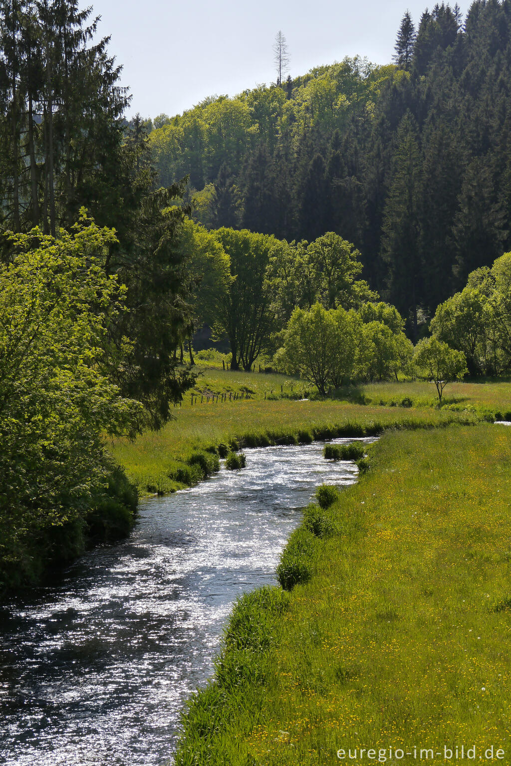 Detailansicht von Auf dem südlichen Abscnitt des Vennbahn-Radwegs, RAVeL L47, entlang der Braunlauf