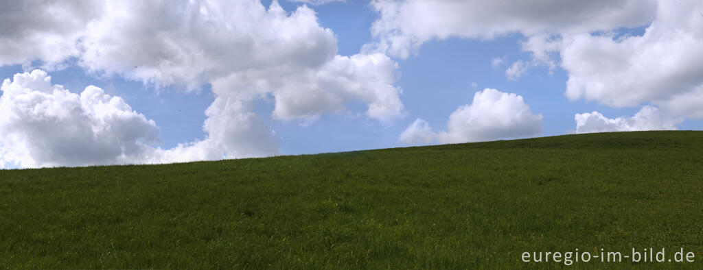 Detailansicht von Auf dem Tötschberg bei Floisdorf