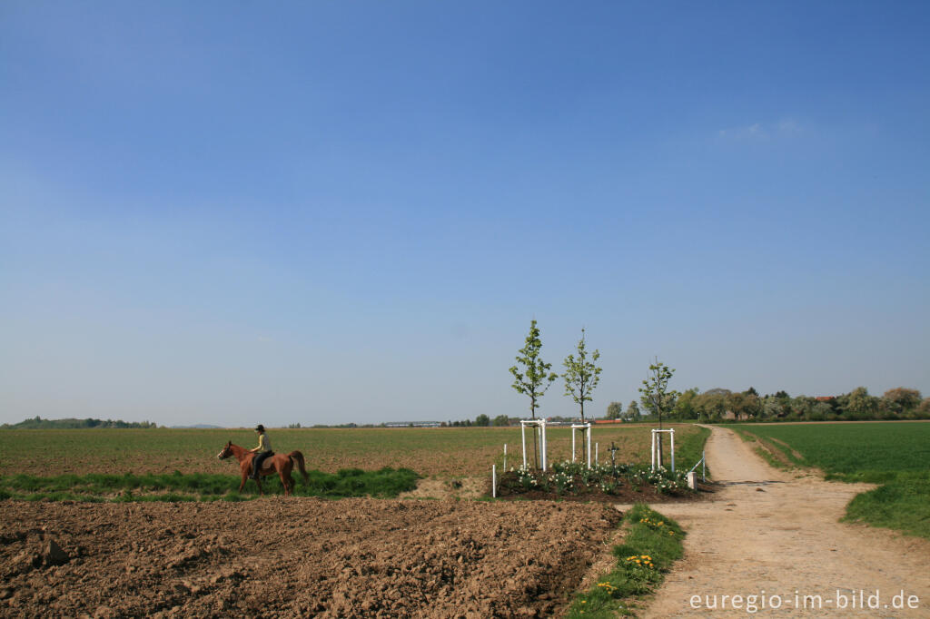 Detailansicht von Auf dem Weißen Weg, Flurkreuz