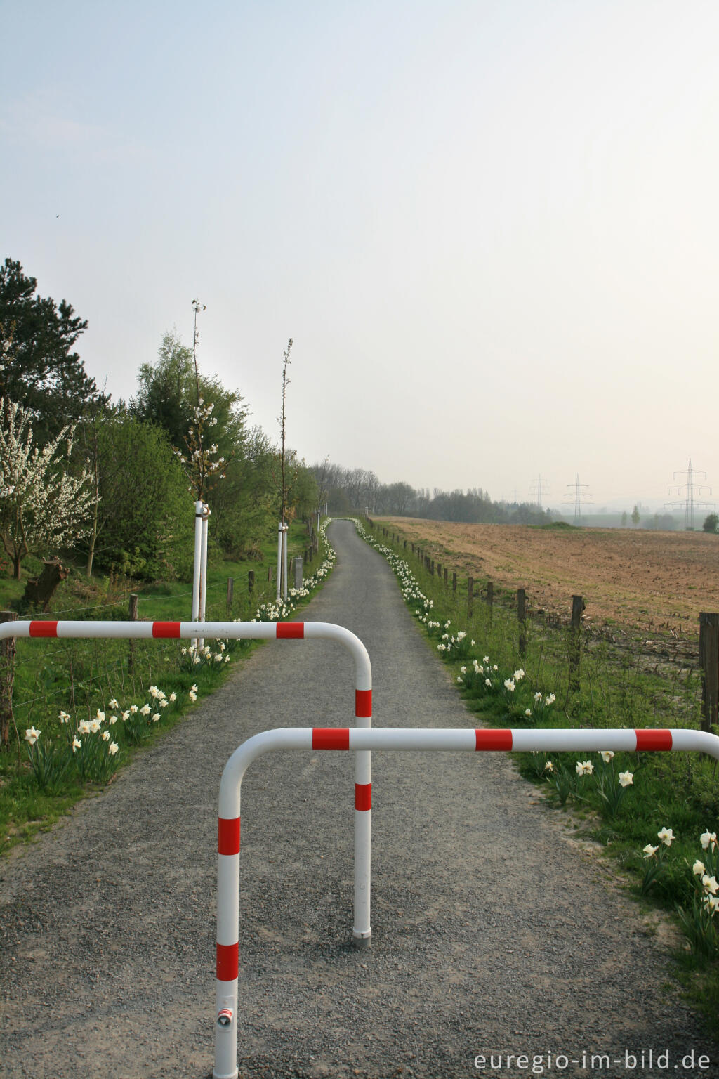 Detailansicht von Auf dem Weißen Weg, Herzogenrath-Kohlscheid