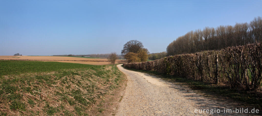 Detailansicht von Auf dem Weißen Weg im Heyder Ländchen bei Aachen Horbach