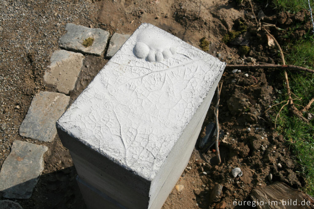 Detailansicht von Auf dem Weißen Weg im Pferdelandpark, Wurmtal