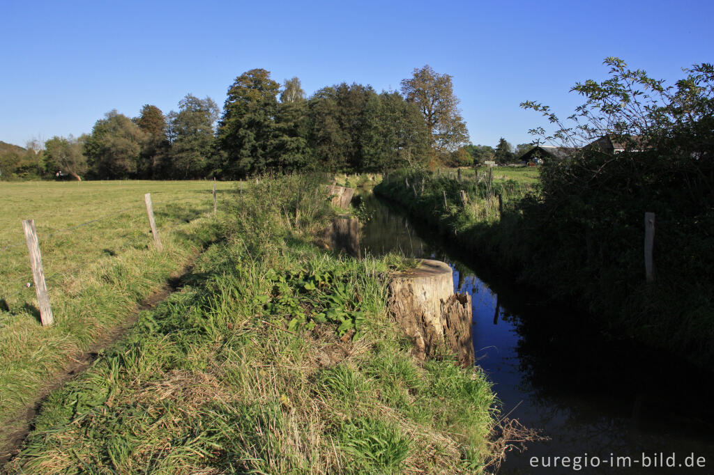 Detailansicht von Auf dem Weißen Weg in der Soers bei Aachen