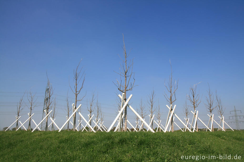 Detailansicht von Auf dem Weißen Weg, Maulbeerhügel 