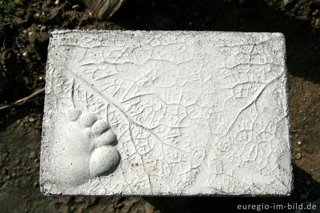 Detailansicht von Auf dem "Weißen Weg", Wurmtal bei Aachen