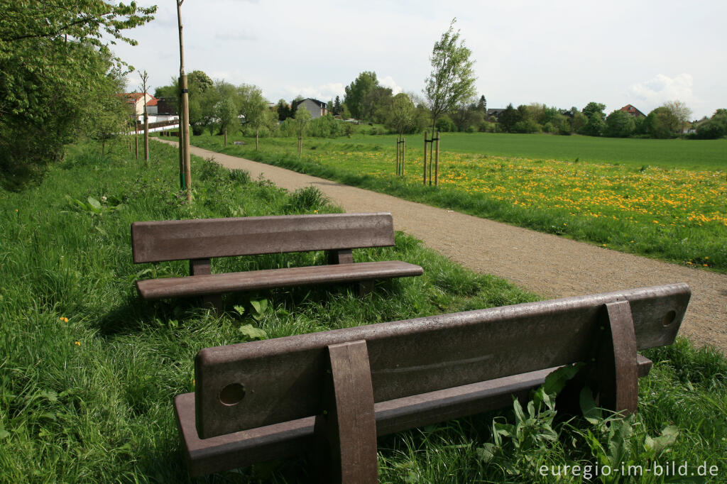 Detailansicht von Auf dem Weißen Weg zwischen Wilsberg und Ürsfeld