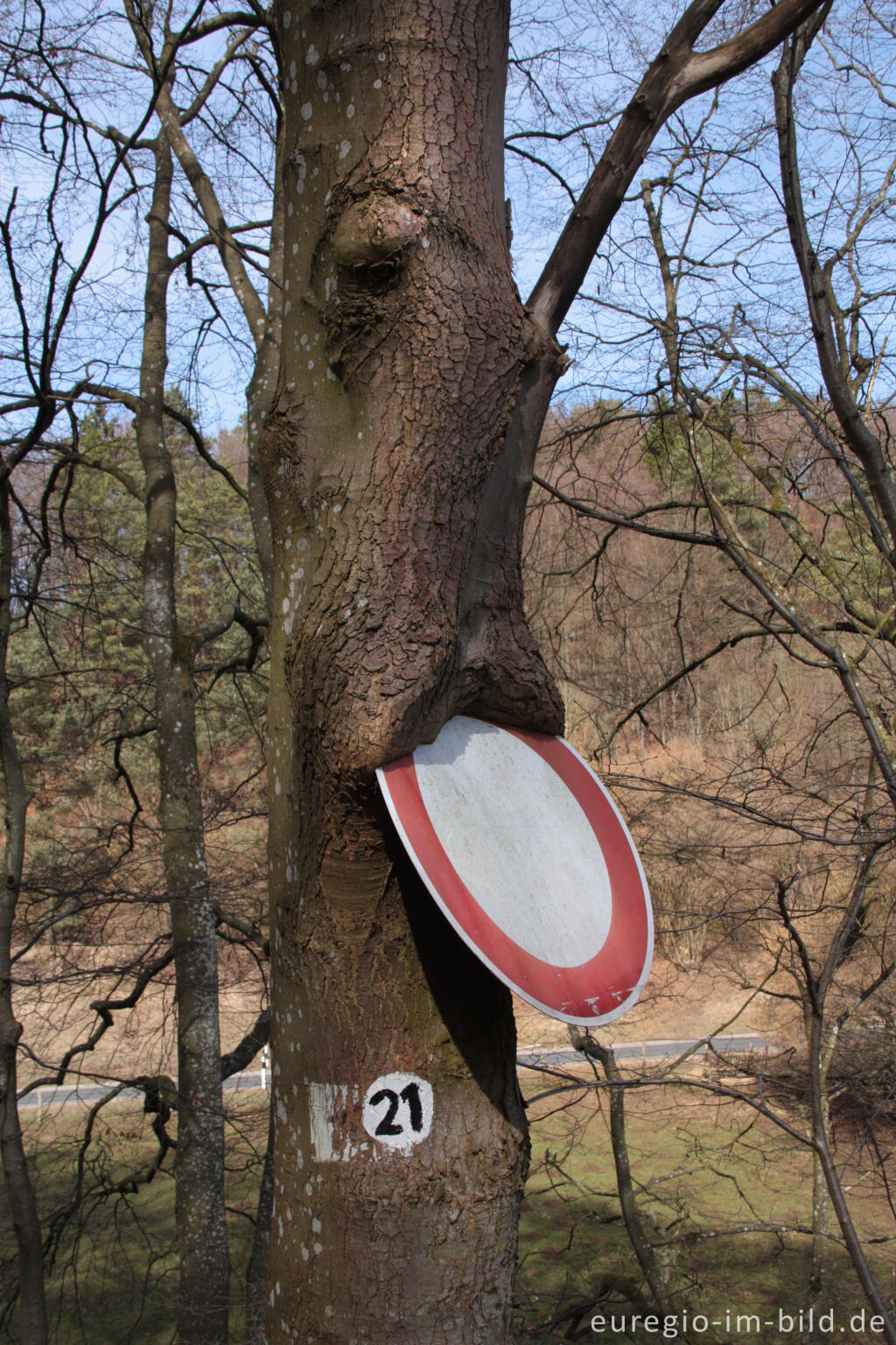 Detailansicht von Auf der 8. Etappe des Eifelsteigs, Sperrschild 