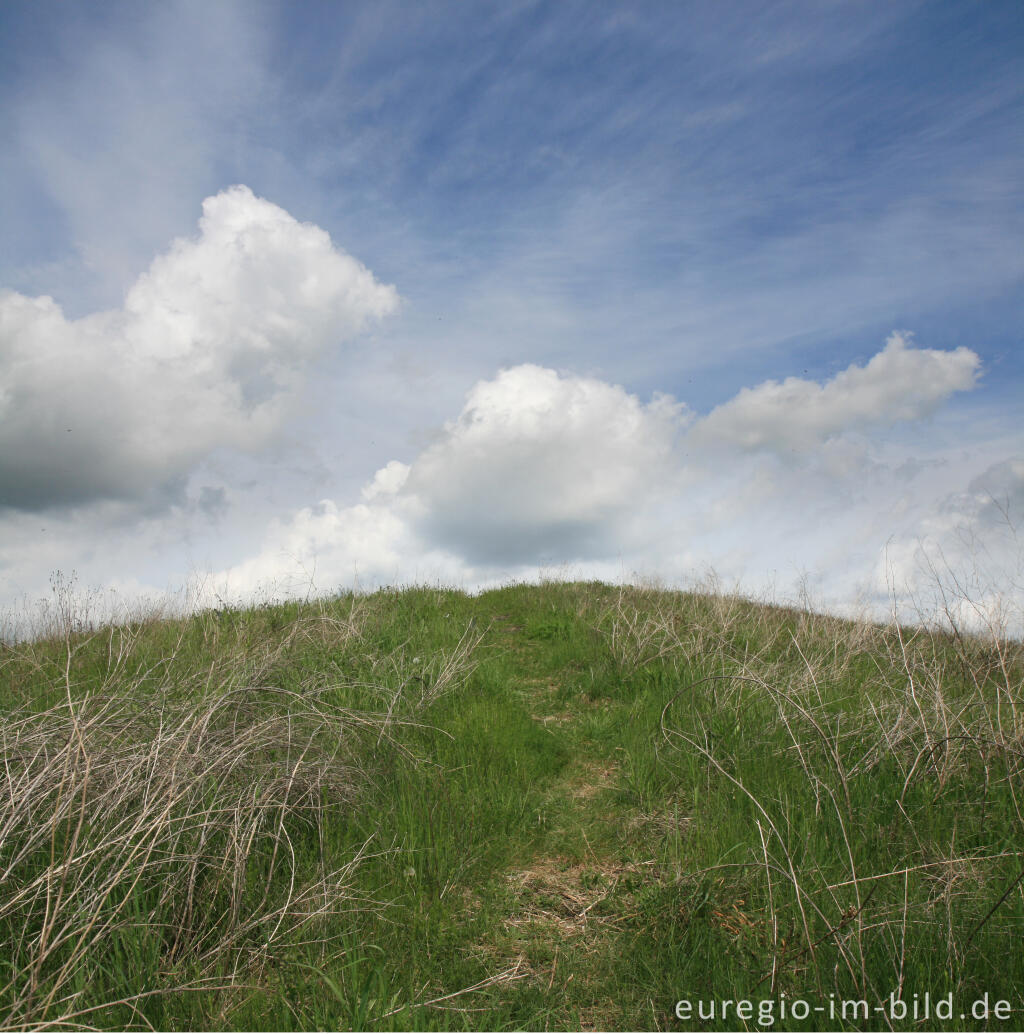 Detailansicht von Auf der Bergehalde Wilsberg