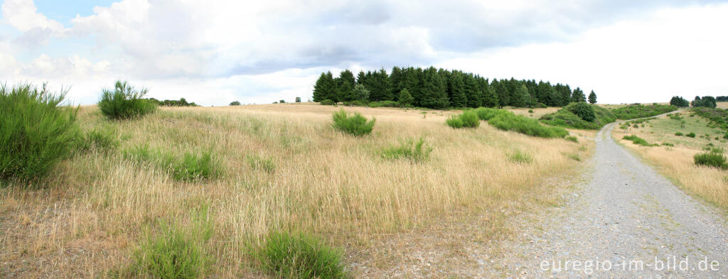 Detailansicht von Auf der Dreiborner Hochfläche