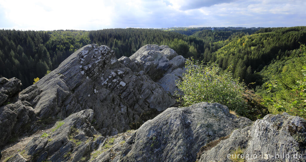 Detailansicht von Auf der Ehrensteinsley