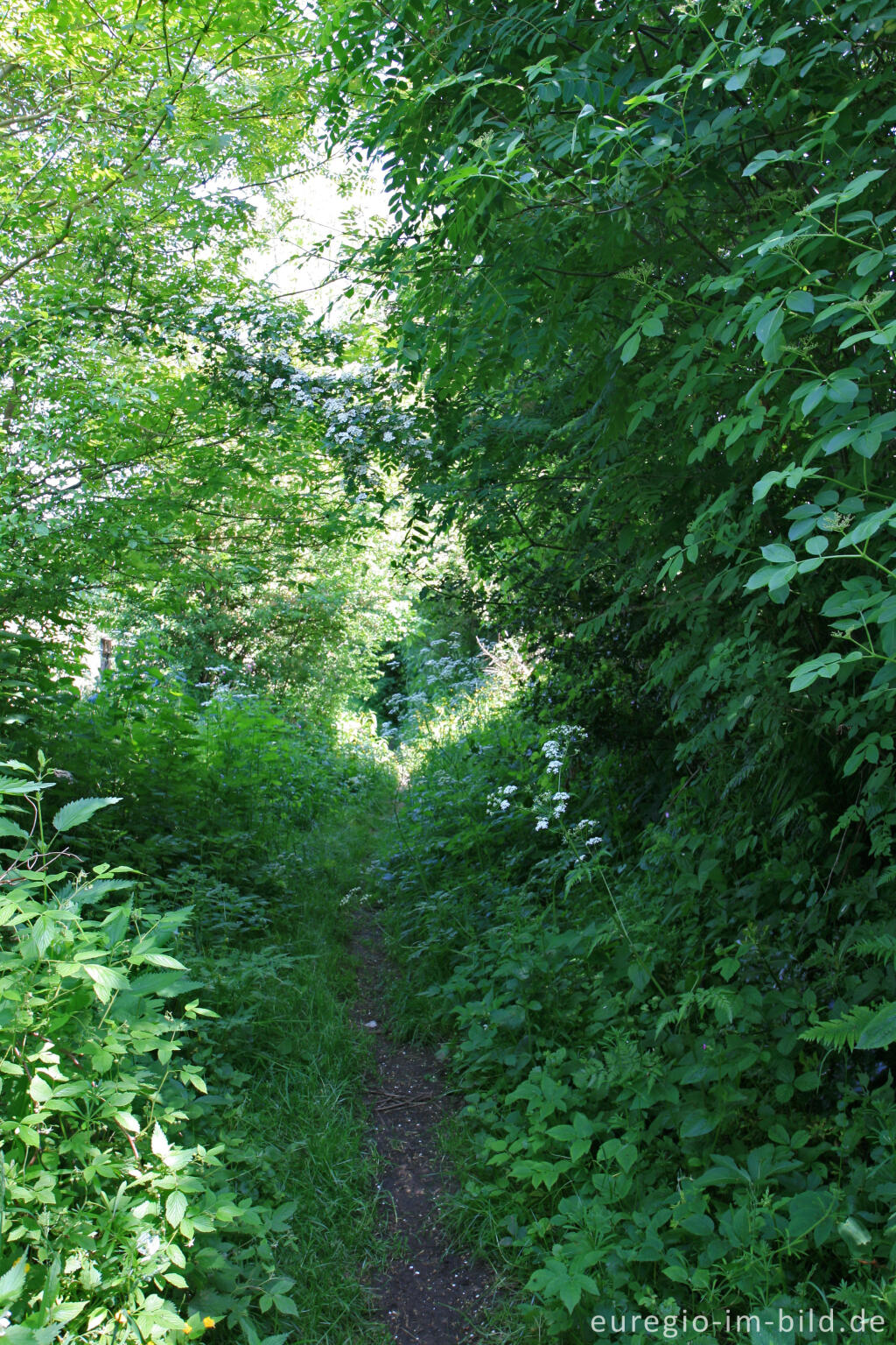 Detailansicht von Auf der Göhltalroute bei Lontzen