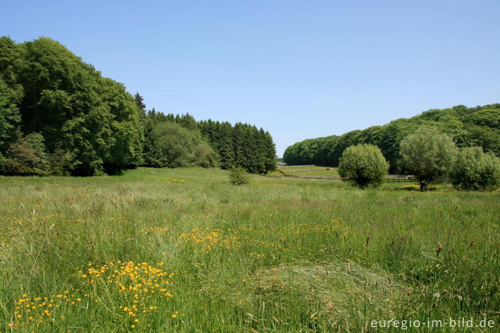 Detailansicht von Auf der Göhltalroute im Hohnbachtal