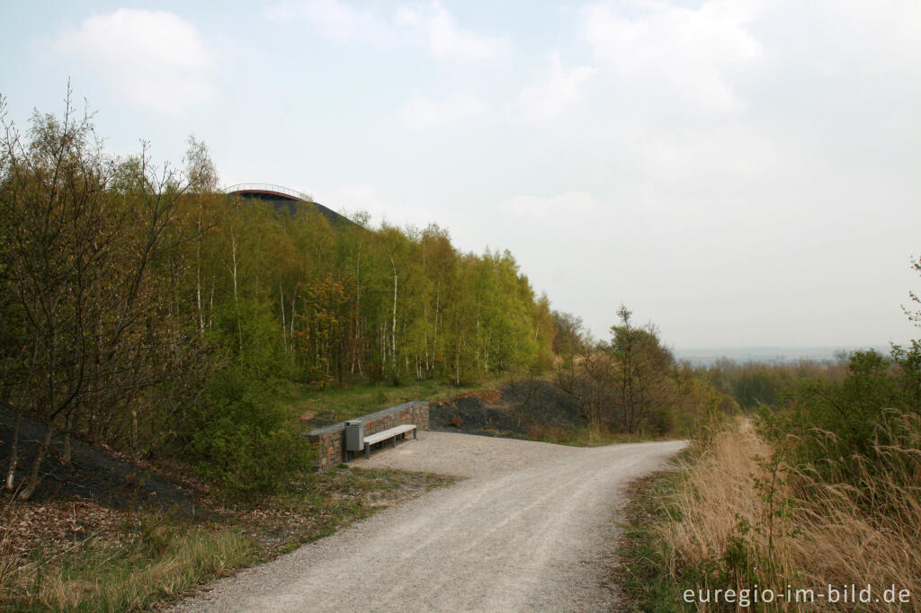 Detailansicht von Auf der Halde des Carl-Alexander-Parks, Baesweiler